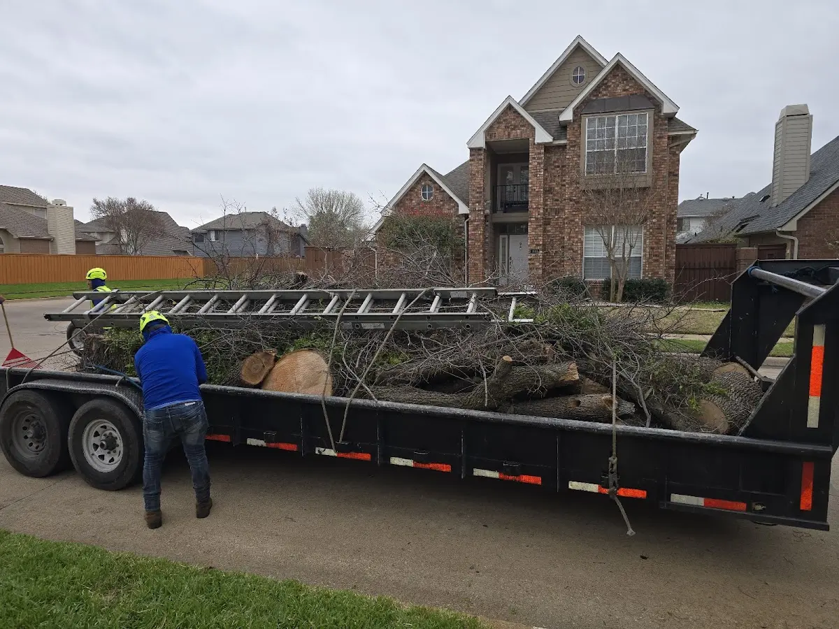 Expert Tree Pest Control with proper safety equipment in Fresno